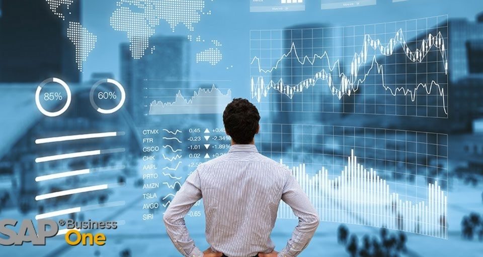 persona guarda analisi dati sap business one